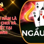 Bài Ngầu Hầm là gì