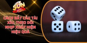 cách bắt cầu tài xỉu