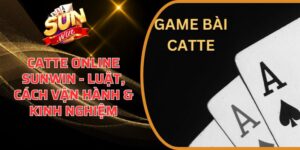 Catte online