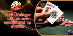 Xì Tố là gì